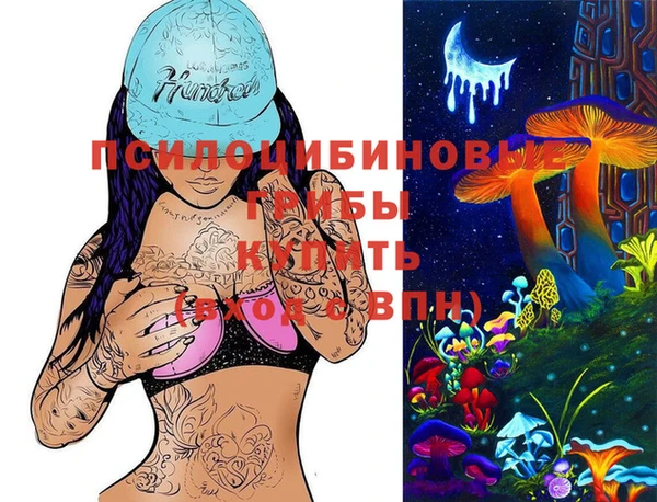 ПСИЛОЦИБИНОВЫЕ ГРИБЫ Верхнеуральск