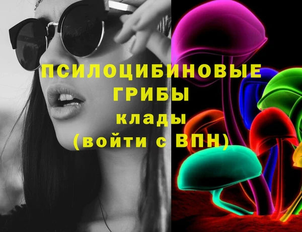 тгк Верея