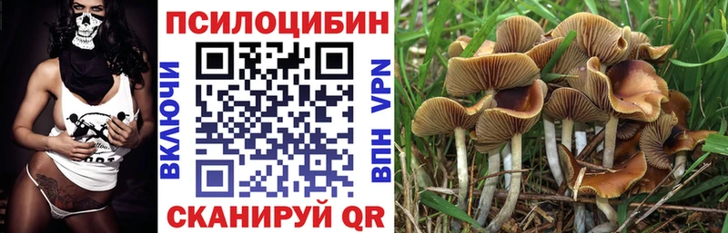 Псилоцибиновые грибы мицелий  ОМГ ОМГ онион  Дигора 